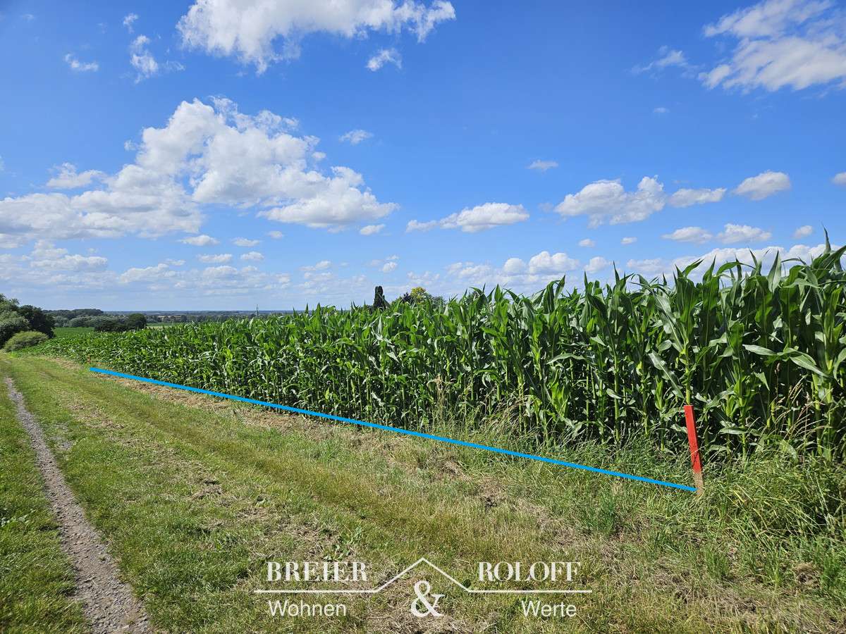  Land in Schaumburg, Germany No. 174862