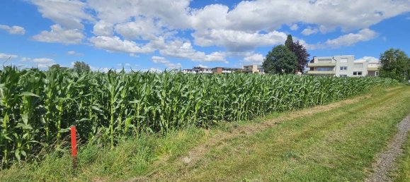  Land in Schaumburg, Germany No. 174862 2