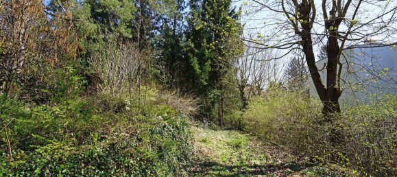  قطعة أرض في Penzing, Austria رقم 164161 4