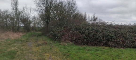  قطعة أرض في Nordsachsen, Germany 4900متر مربع رقم 307540 5