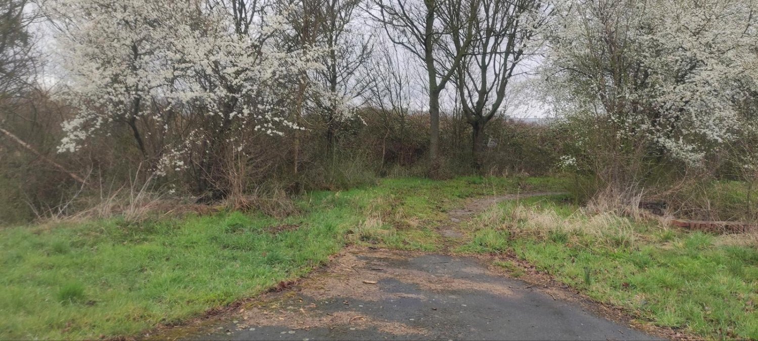  قطعة أرض في Nordsachsen, Germany 4900متر مربع رقم 307540