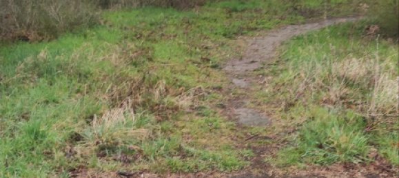  قطعة أرض في Nordsachsen, Germany 4900متر مربع رقم 307540 3