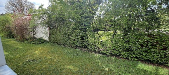 2 rooms Apartment in Wels, Austria No. 50404 5