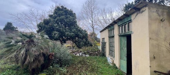 7 bedrooms Villa in Florence, Italy No. 48641 13