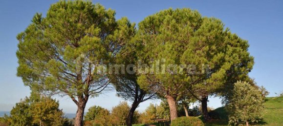 Casa de 4 dormitorios en Cinigiano, Italy No. 304778 29