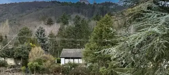 6 bedrooms Townhouse in Rhineland-Palatinate, Germany No. 148064 5