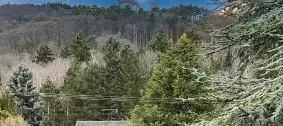 6 bedrooms Townhouse in Rhineland-Palatinate, Germany No. 148064 6