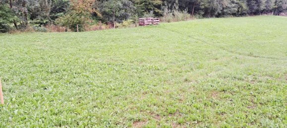 120m² Land in Pyhra, Austria No. 231356 8