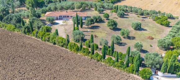 8 bedrooms House in Montalto di Castro, Italy No. 306634 5