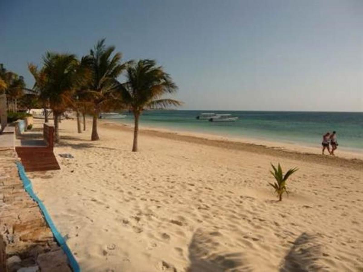 Apartamento T3 em Mexico N.º 185178