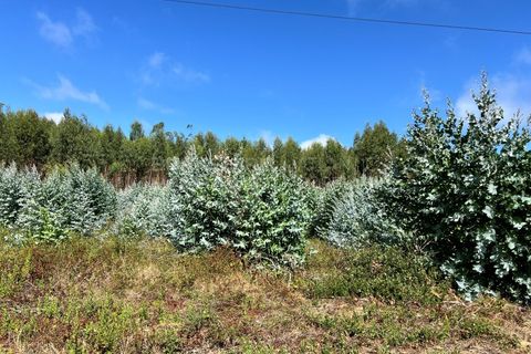 300m² Land in Torres Vedras, Portugal No. 305280