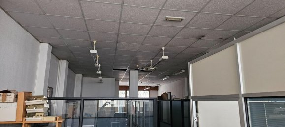 Gewerbliche Immobilie in Basque Autonomous Community, Spain 164m², Nr. 107342 8