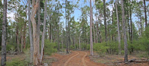 828300m² Land in Canning Creek, Australia No. 797 18