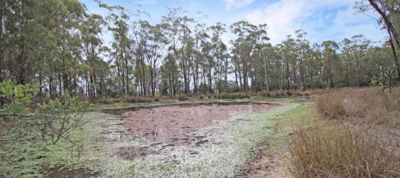 828300m² Land in Canning Creek, Australia No. 797 3