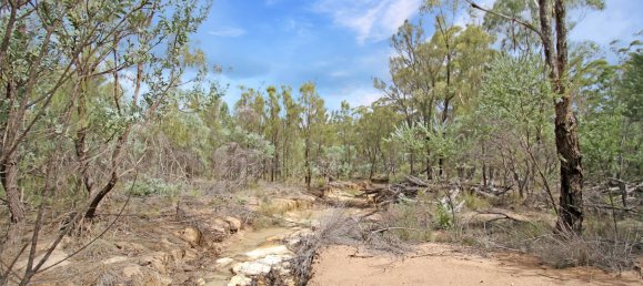 828300m² Land in Canning Creek, Australia No. 797 19