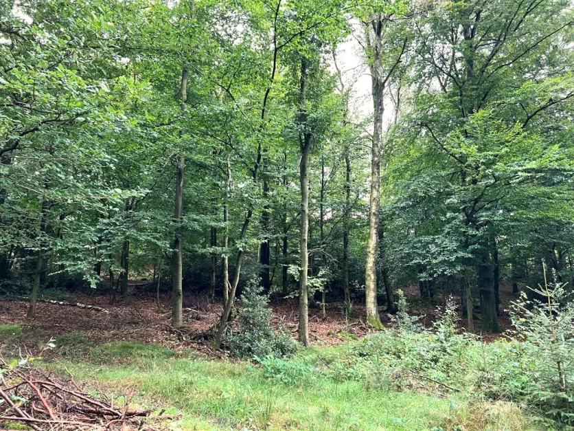  Land in Markischer, Germany No. 136932