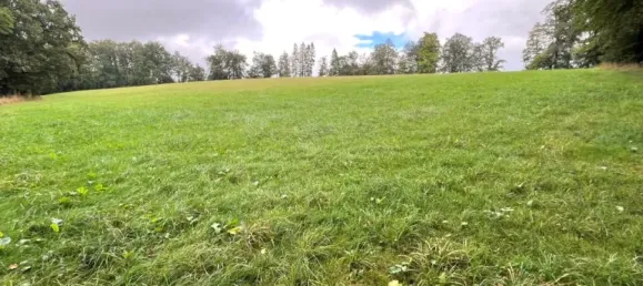  Land in Markischer, Germany No. 136932 3