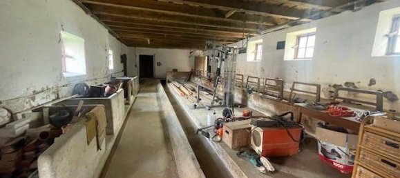 Propiedad comercial en Schwarzenau, Austria No. 195880 5