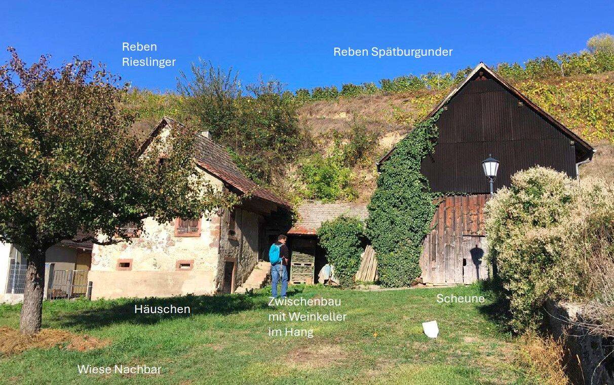 Grundstück in Breisgau-Hochschwarzwald, Germany 2318m², Nr. 311062