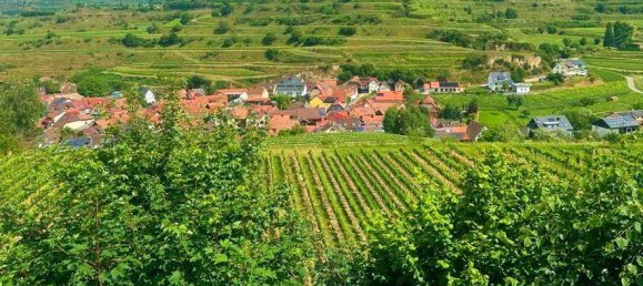 Grundstück in Breisgau-Hochschwarzwald, Germany 2318m², Nr. 311062 15