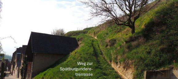 Grundstück in Breisgau-Hochschwarzwald, Germany 2318m², Nr. 311062 10