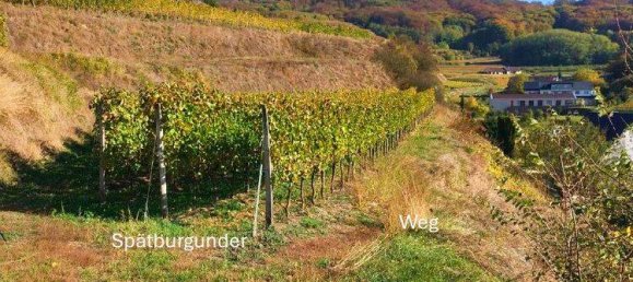 Grundstück in Breisgau-Hochschwarzwald, Germany 2318m², Nr. 311062 12