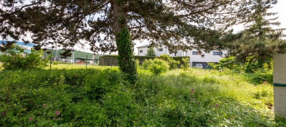  Land in Liesing, Austria No. 63011 8