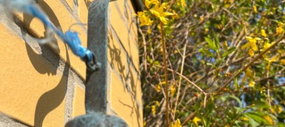 4 Schlafzimmer Villa in Saalekreis, Germany, Nr. 265429 6