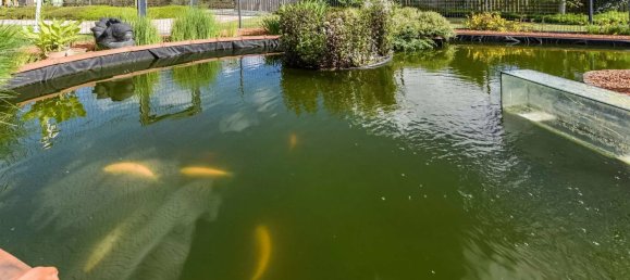 3 Schlafzimmer Haus in Le Folgoet, France, Nr. 306146 50