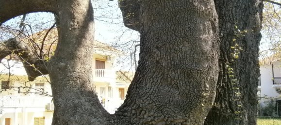 1250m² Hotel in Thasos, Greece No. 7951 9