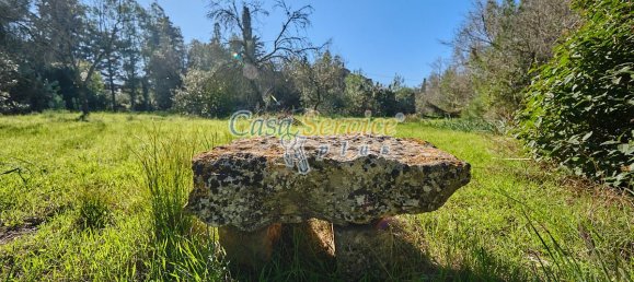 2 Schlafzimmer Haus in Sannicola, Italy, Nr. 166082 12