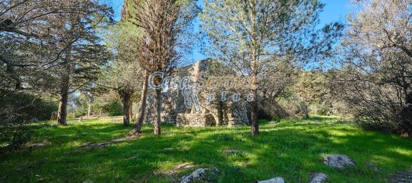 2 Schlafzimmer Haus in Sannicola, Italy, Nr. 166082 17