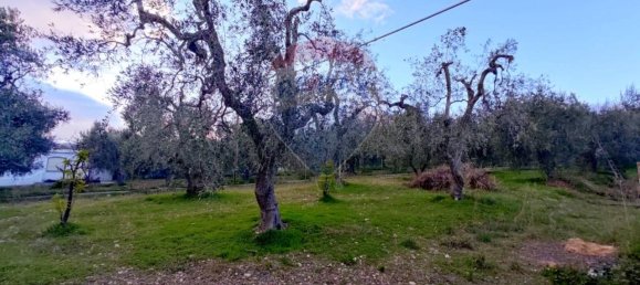 3 rooms Apartment in Mattinata, Italy No. 33216 9