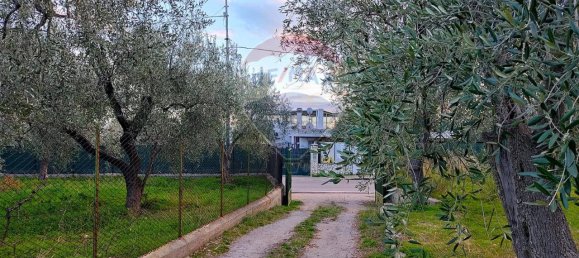 3 rooms Apartment in Mattinata, Italy No. 33216 15