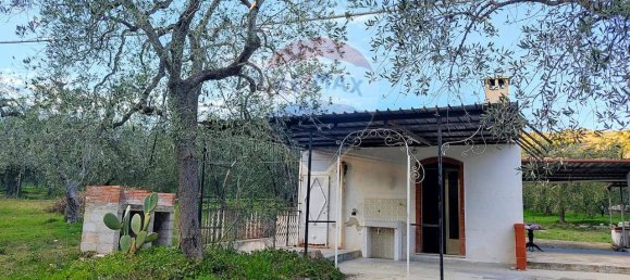 3 rooms Apartment in Mattinata, Italy No. 33216 20