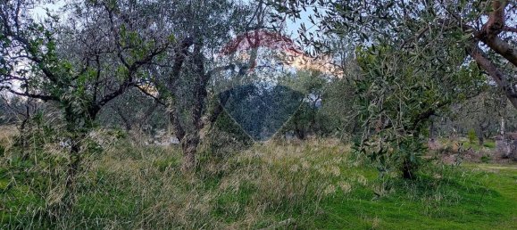 3 rooms Apartment in Mattinata, Italy No. 33216 12