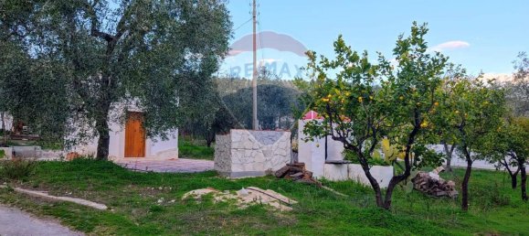 3 rooms Apartment in Mattinata, Italy No. 33216 13