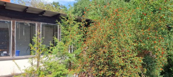 5غرفة منزل في Mansfeld-Sudharz, Germany رقم 275670 17