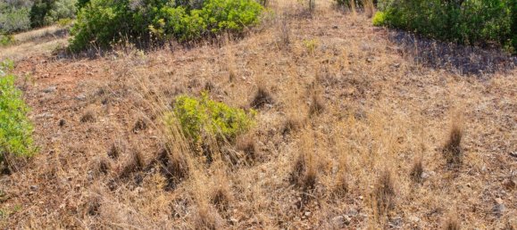  قطعة أرض في Mexilhoeira Grande, Portugal 36800متر مربع رقم 122507 16