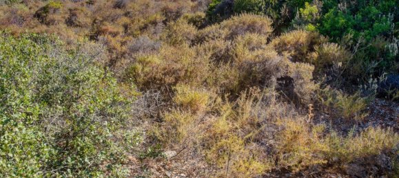  قطعة أرض في Mexilhoeira Grande, Portugal 36800متر مربع رقم 122507 27