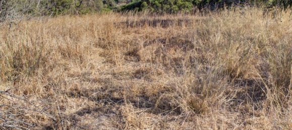  قطعة أرض في Mexilhoeira Grande, Portugal 36800متر مربع رقم 122507 41