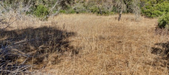  قطعة أرض في Mexilhoeira Grande, Portugal 36800متر مربع رقم 122507 8