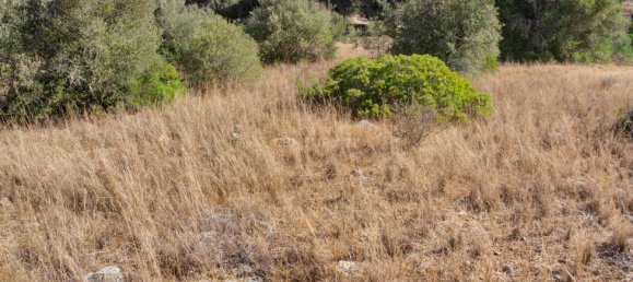  قطعة أرض في Mexilhoeira Grande, Portugal 36800متر مربع رقم 122507 36