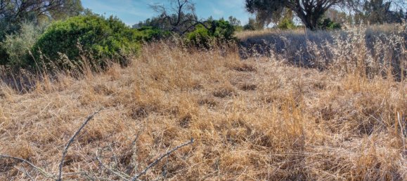  قطعة أرض في Mexilhoeira Grande, Portugal 36800متر مربع رقم 122507 10