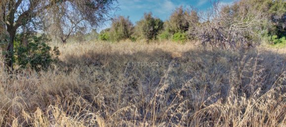  قطعة أرض في Mexilhoeira Grande, Portugal 36800متر مربع رقم 122507 3