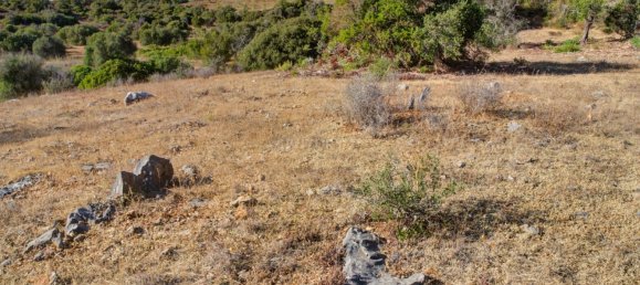  قطعة أرض في Mexilhoeira Grande, Portugal 36800متر مربع رقم 122507 24