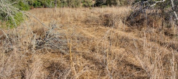  قطعة أرض في Mexilhoeira Grande, Portugal 36800متر مربع رقم 122507 38