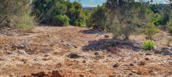  قطعة أرض في Mexilhoeira Grande, Portugal 36800متر مربع رقم 122507 9