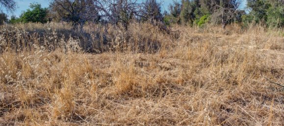  قطعة أرض في Mexilhoeira Grande, Portugal 36800متر مربع رقم 122507 13