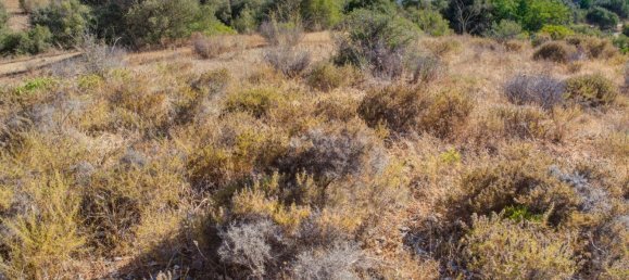  قطعة أرض في Mexilhoeira Grande, Portugal 36800متر مربع رقم 122507 30